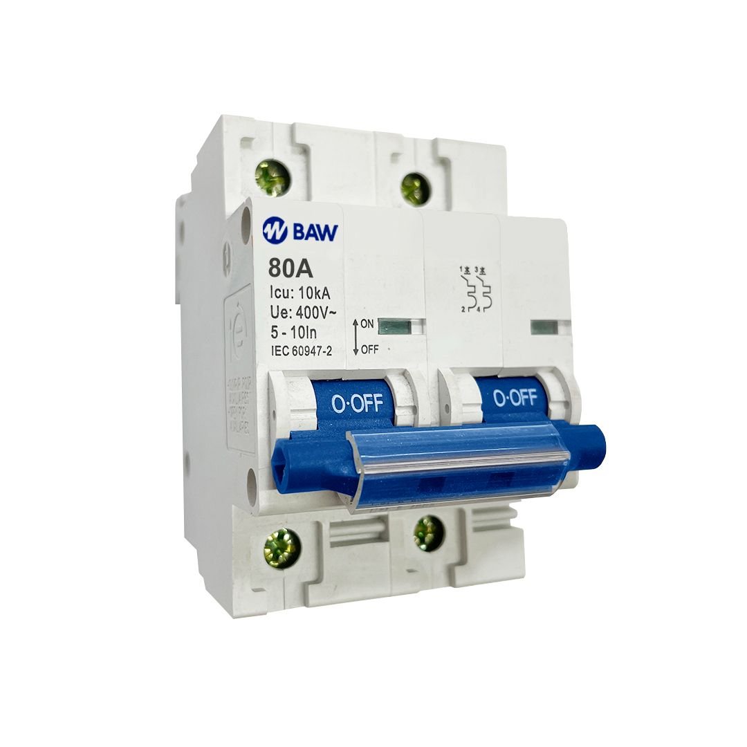 Interruptor TMg 2P 80A Icu=10kA. Curva C (5-10In)