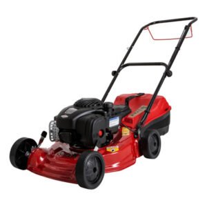 PETRI CORTADORA EXPLOSION PROFESIONAL B&S 650 HP C/BOLSA (50 CM CORTE)(3004006)